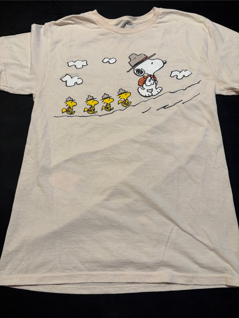 Peanuts Snoopy & Woodstock mens Tee - Cream